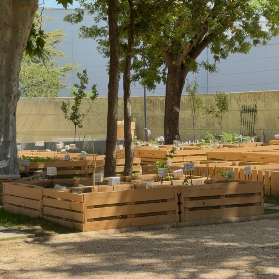 Jardins partagée Aubagne